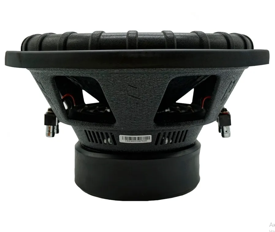 Сабвуфер Dynamic State CSW-30.22C CUSTOM Series - фото