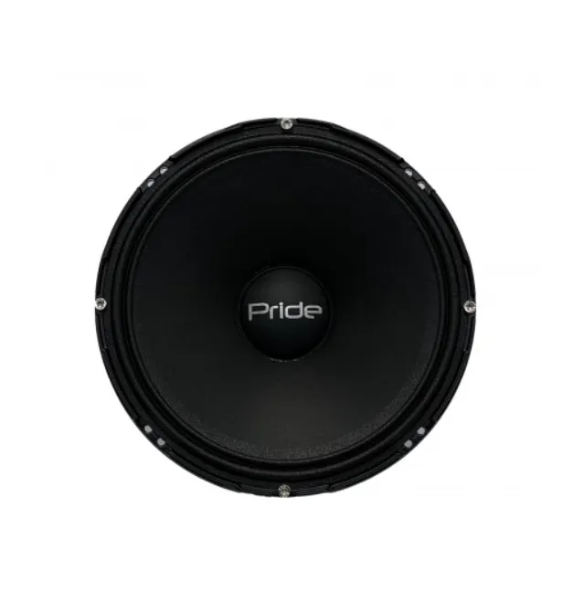 СЧ динамики Pride Solo 300 8" - фото