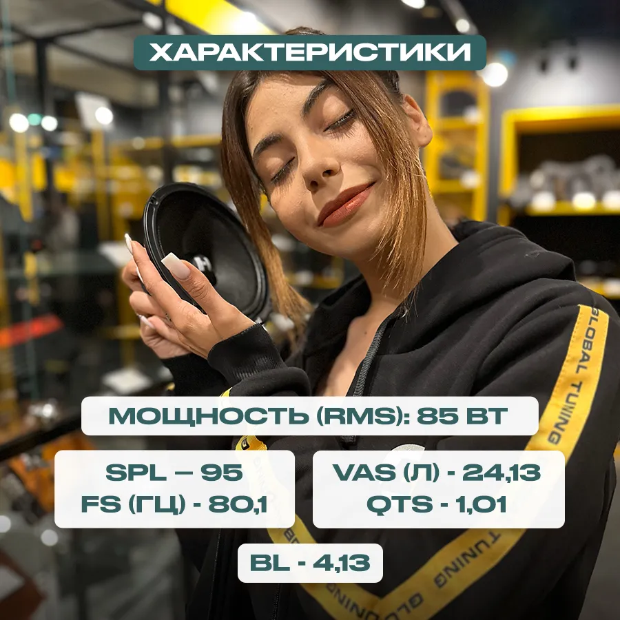 СЧ динамики Deaf Bonce Hannibal HM-8E+ - фото