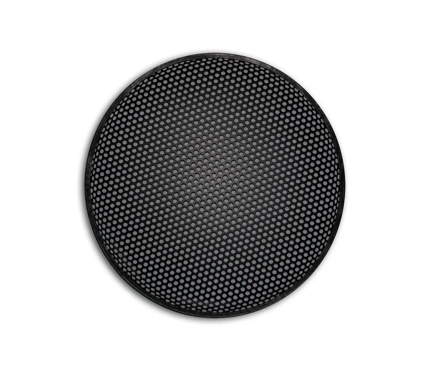 Защитная сетка (гриль) ALPHARD 10" RT - фото