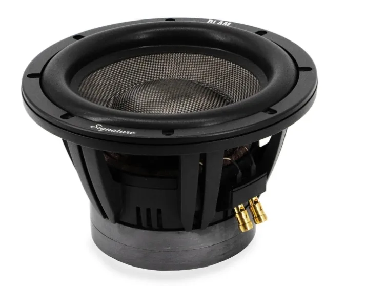 Сабвуфер BLAM SUPERSUB10 - фото