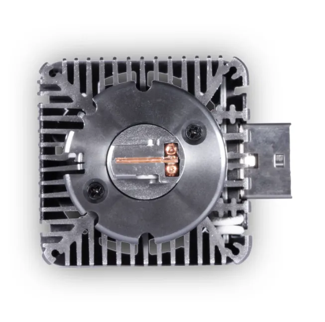 изображение_2024-05-15_060430220