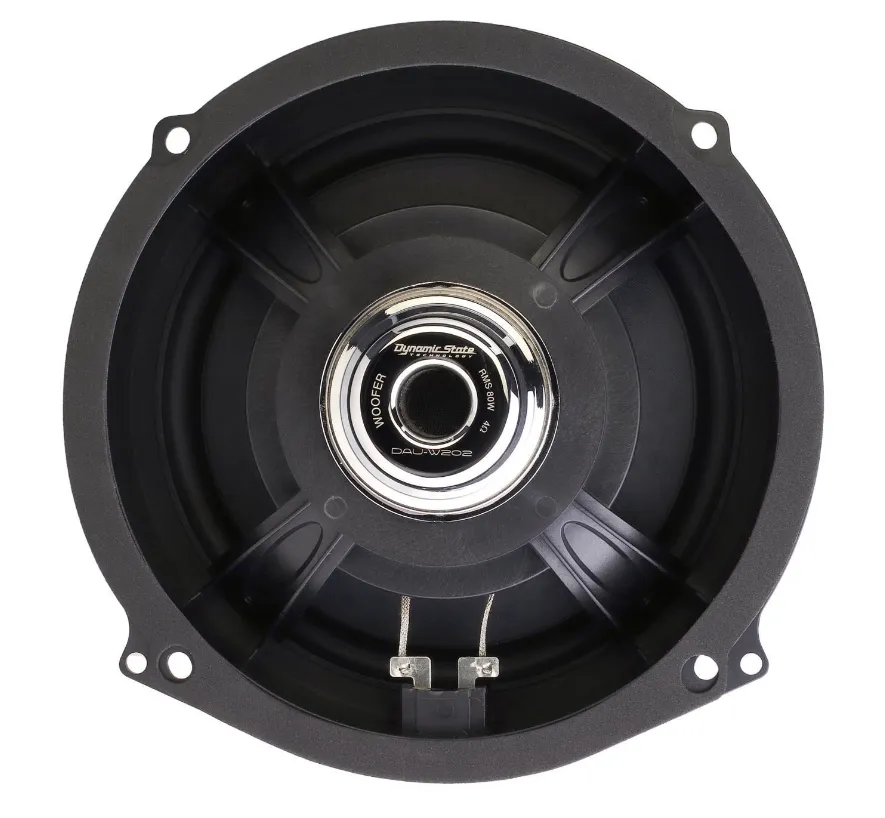 Акустика штатная Dynamic State DAU-W202 - фото