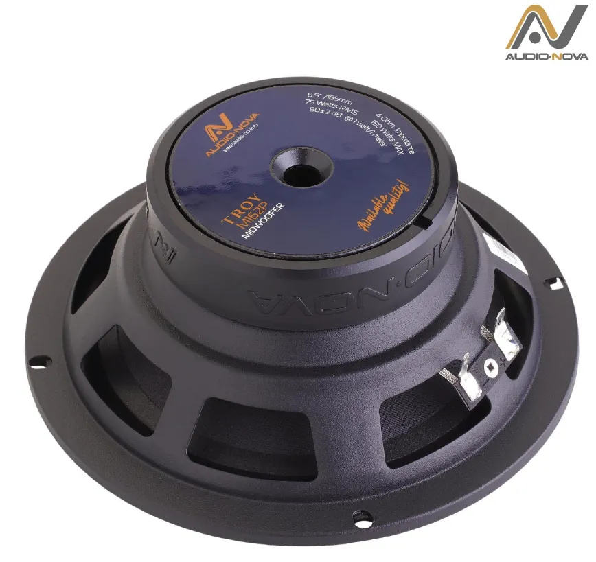 изображение_2024-05-05_034217925