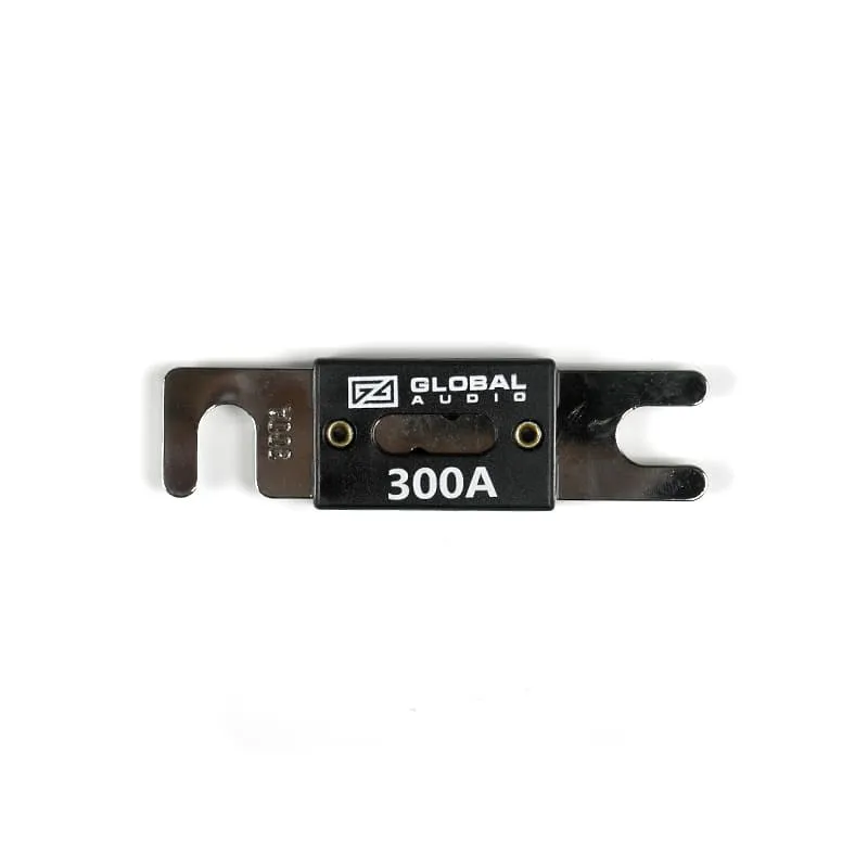 fs 300 3